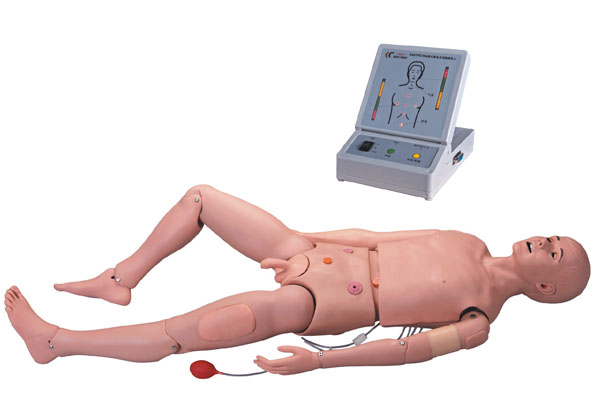 上?？等烁呒?jí)成人護(hù)理CPR模型人KAR/3000